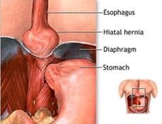 1764015977_db95049883f97284cbfbc369a0f33be3 1764015977 db95049883f97284cbfbc369a0f33be3 1