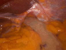 1764015983_f7b5d08e20b81e3afc006373362908841 1764015983 f7b5d08e20b81e3afc006373362908841 1